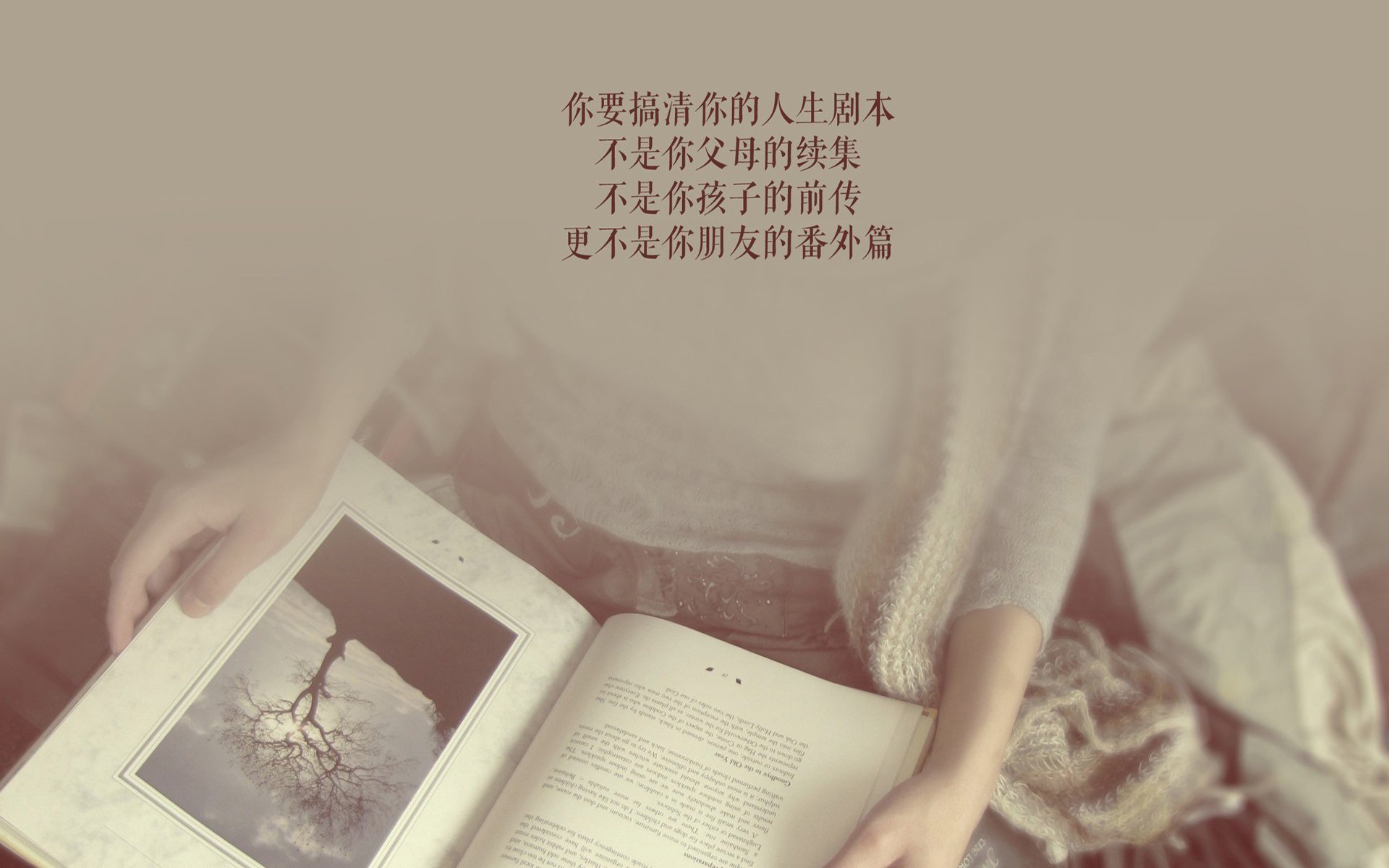 _奇才队展现团队实力，争夺季后赛席位_，奇才队队员名单
