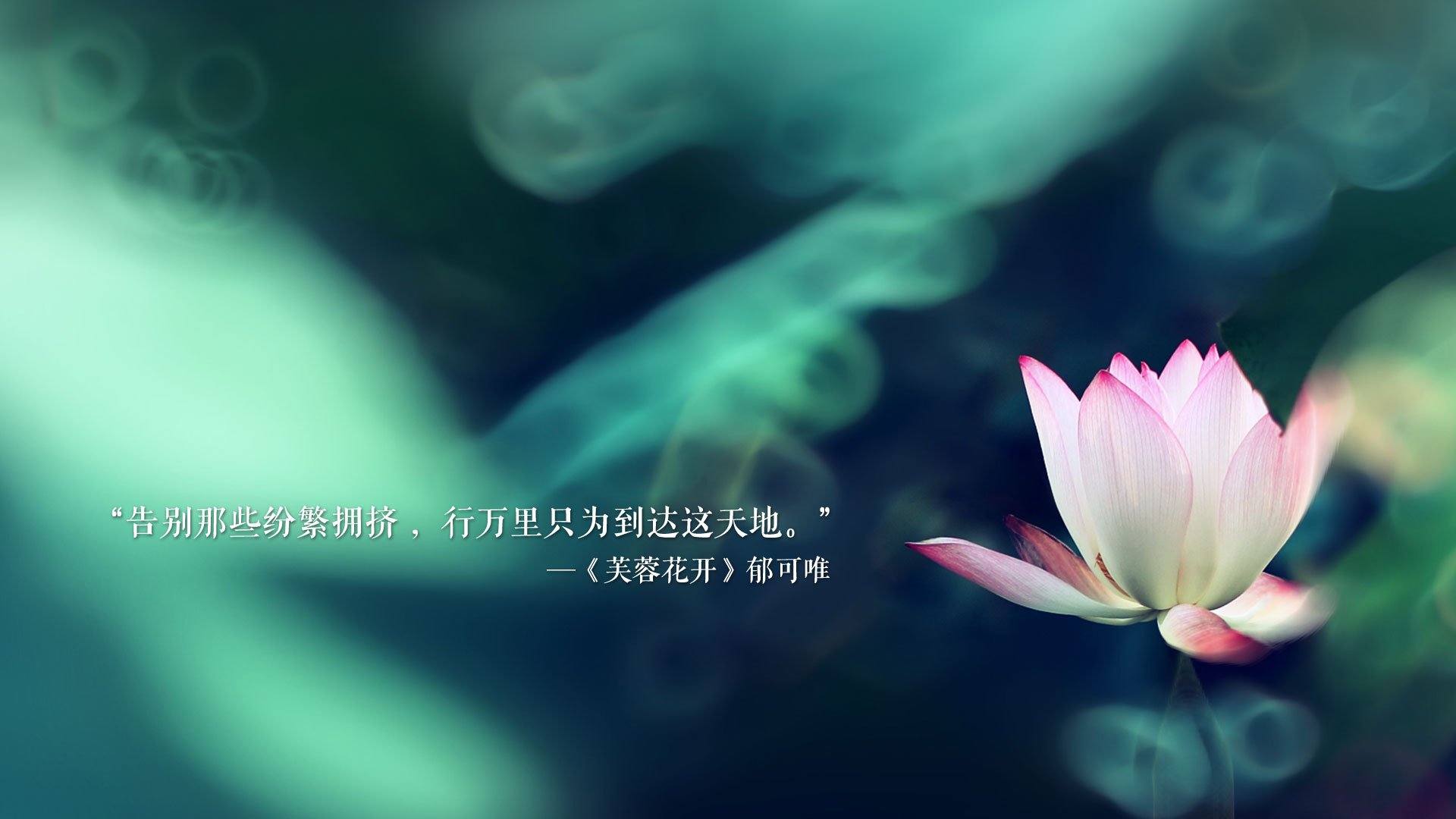 德国队在2024年世界杯的关键时刻表现与决策，德国2022世界杯出现了吗