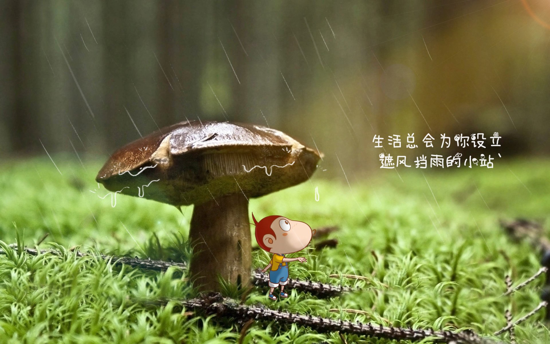 青训教练学习海外训练理念提升本土教学内容，国际青训师