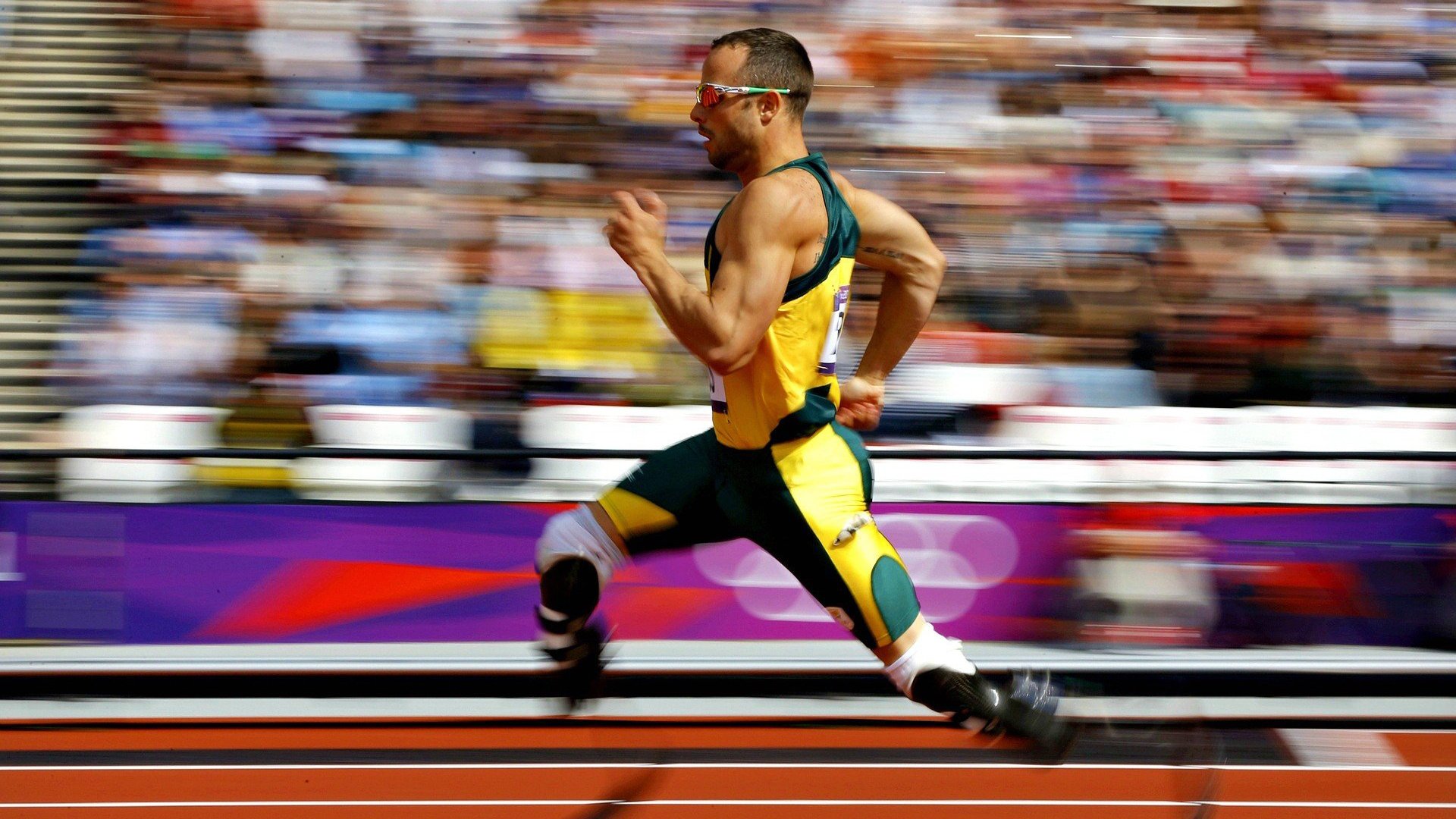 _穿越丛林定向赛：智勇双全的极限挑战_，丛林穿越探险